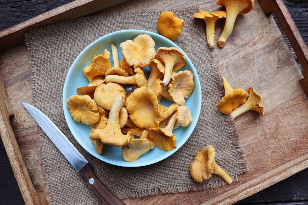 Gebratene Pfifferlinge mit Petersilie servierfertig in Schüssel angerichtet