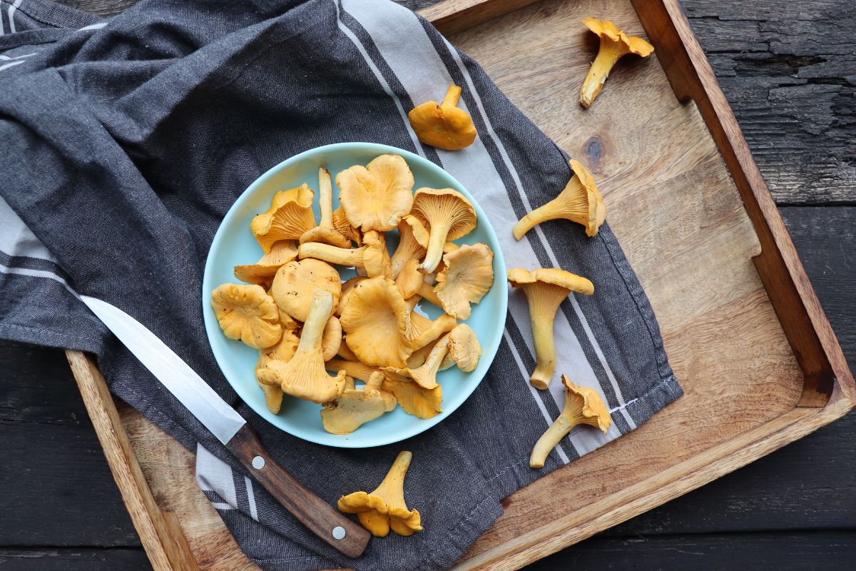 Wie bereitet man Pfifferlinge zu?