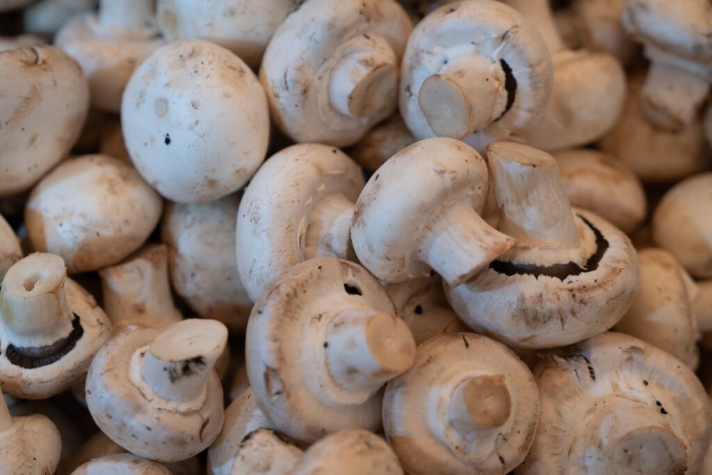 Weiße Champignons in gleichmäßige Scheiben schneiden mit scharfem Messer