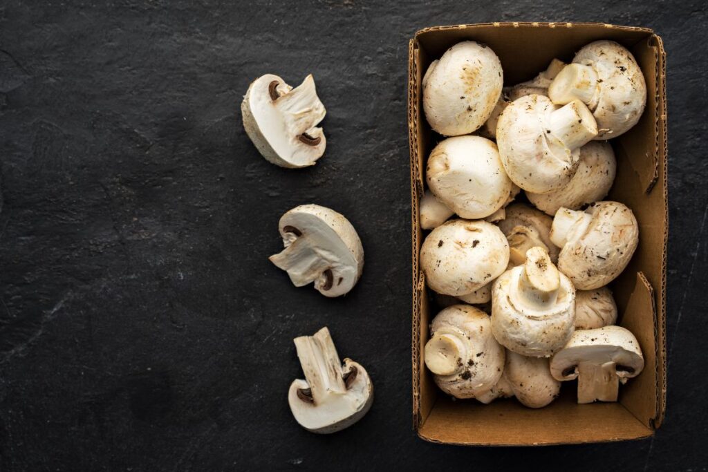 Weiße Champignons in heißer Pfanne braten ohne Deckel bis goldbraun