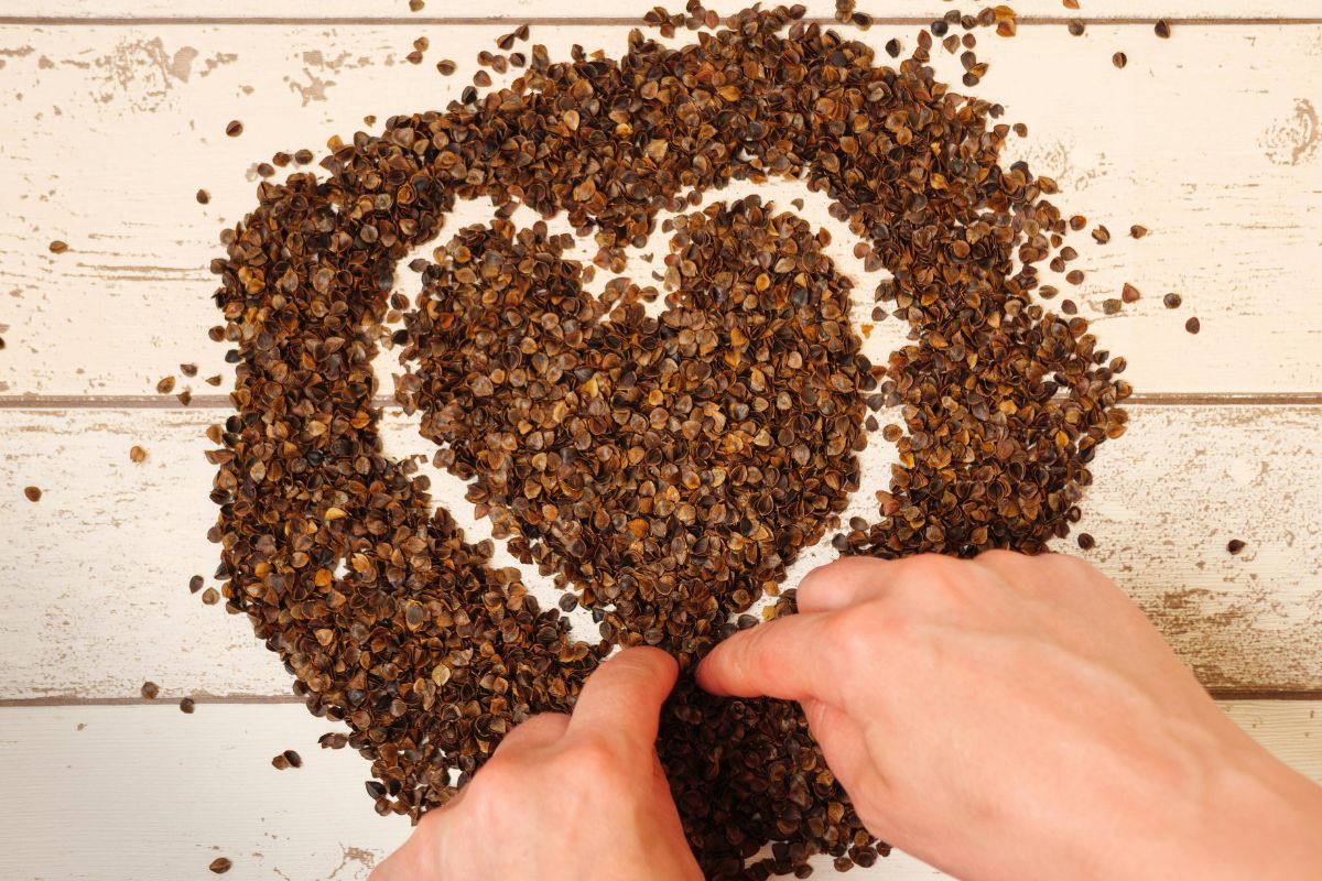 Wie bereitet man Buchweizen zu?